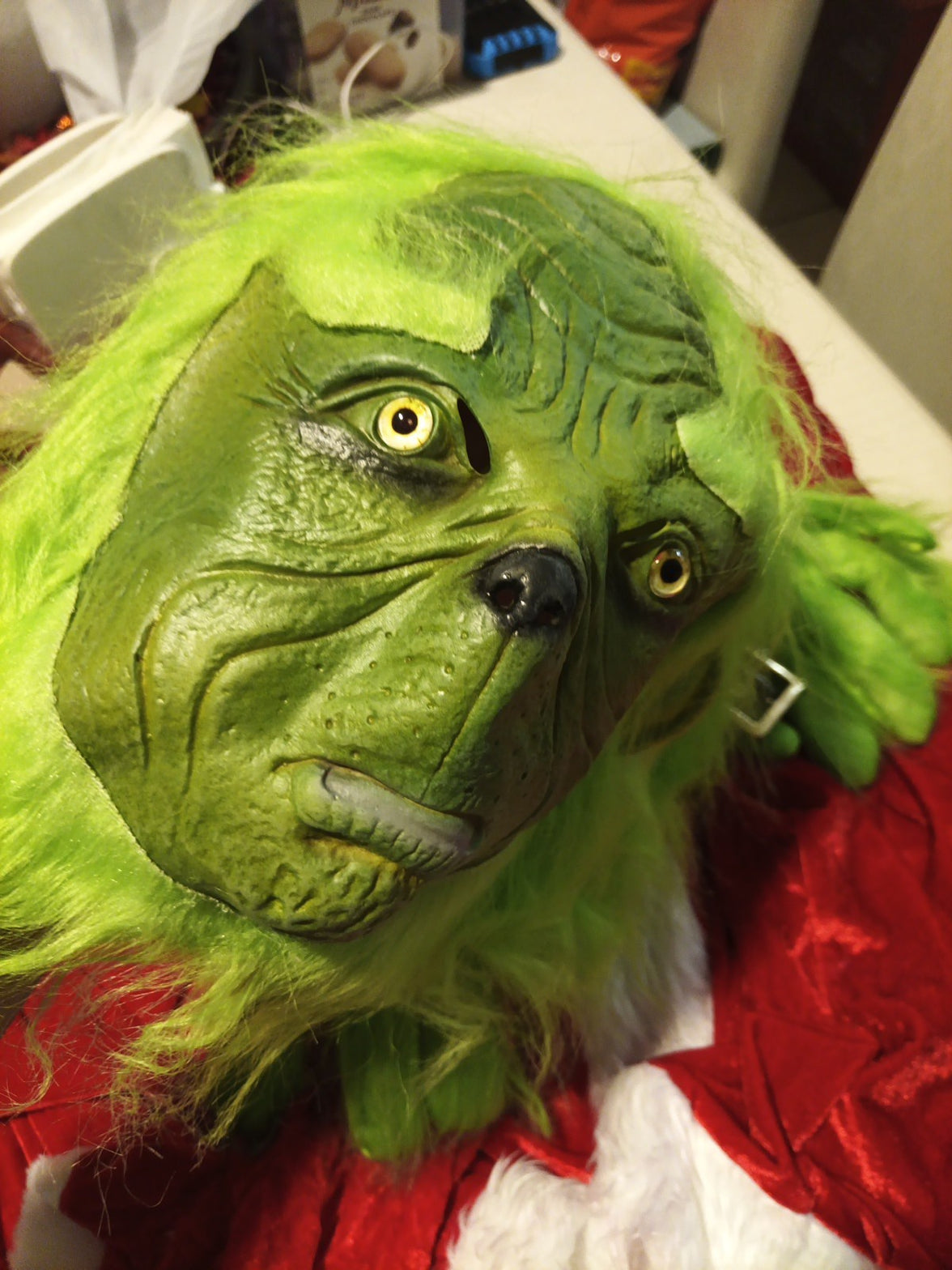 Adult Grinch Costume Mask And Outfit 6 Piece. MASK Might Scare The Kids.  US XL4
