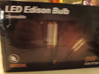 LED Edison Bulb 10 Pack  4000K Dimmable E26/ST58/ST191
