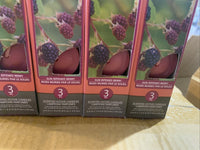 NEW 12 (5pac of 3) Luminessence Scented Votive Candles Sun Ripened Berry 2 inch3