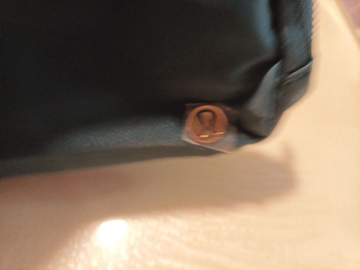 Lululemon Everywhere Belt Bag, New Style With Monogram Belt1