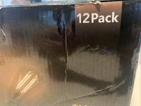 LED Edison Bulb 12 Pack ST58D6 2700K Dimmable E26/ST58/ST194