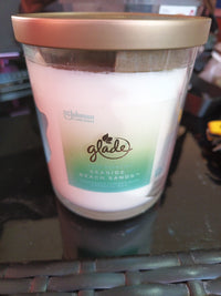 Candle Jar, Large Candle Infused with Essential Oils, Seaside Beach Sands 16 Oz1